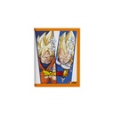 CUADERNO MOOVING 16X21 T/F 48H DRAGON BALL