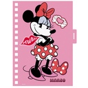 AGENDA MOOVING 14X20 DXP MICKEY Y FRIENDS