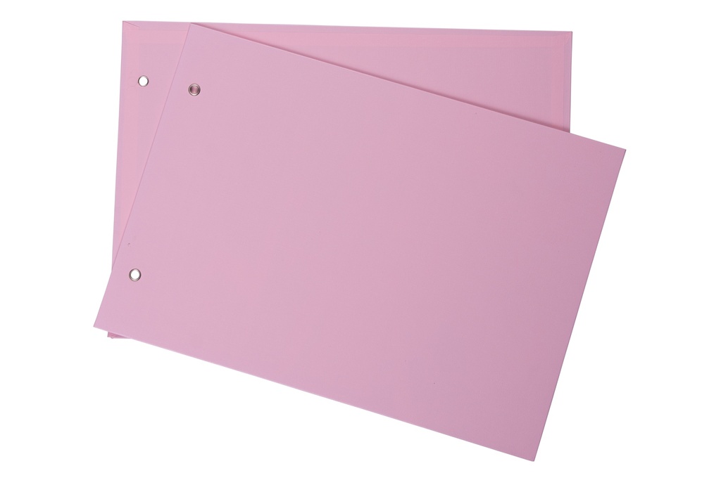 CARPETA 2 TAPAS Nº5 LAMA PVC PASTEL