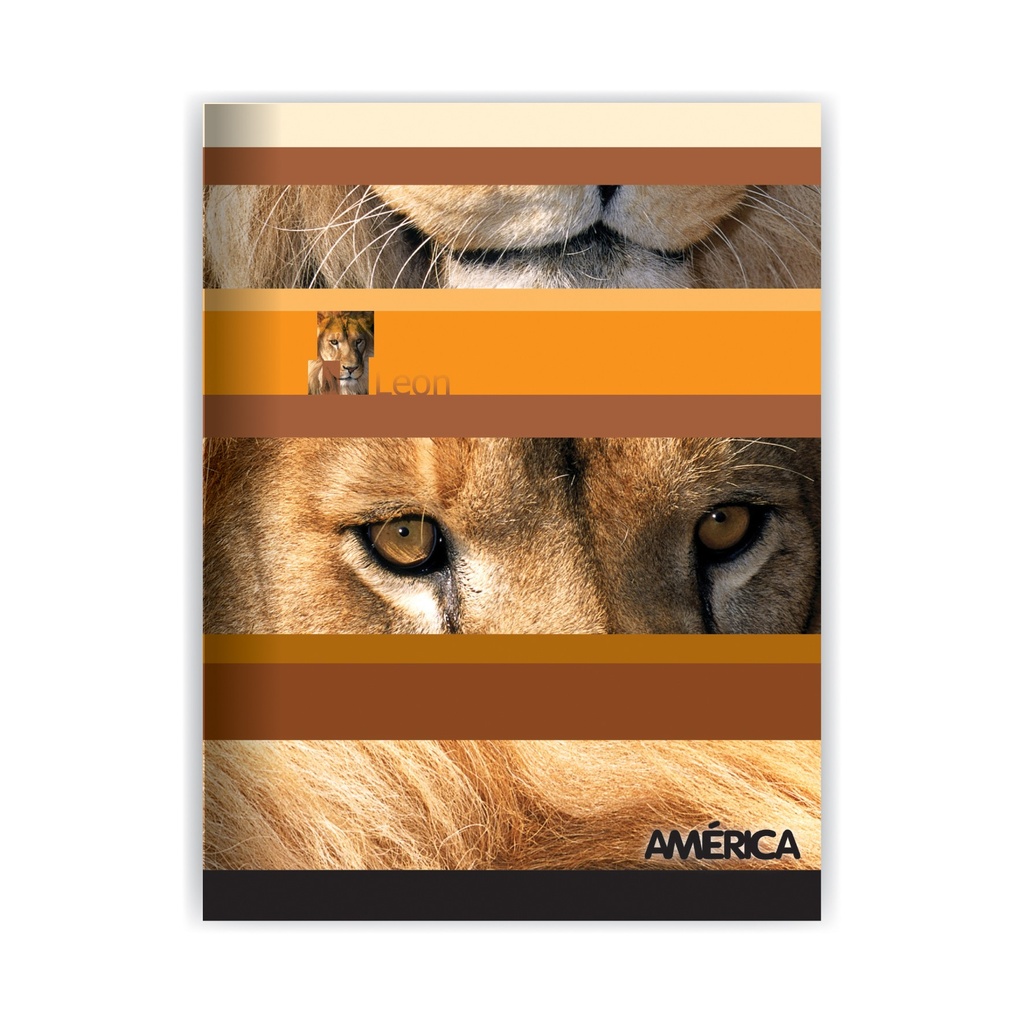 CUADERNO AMERICA T/F 16X21 24H LISO