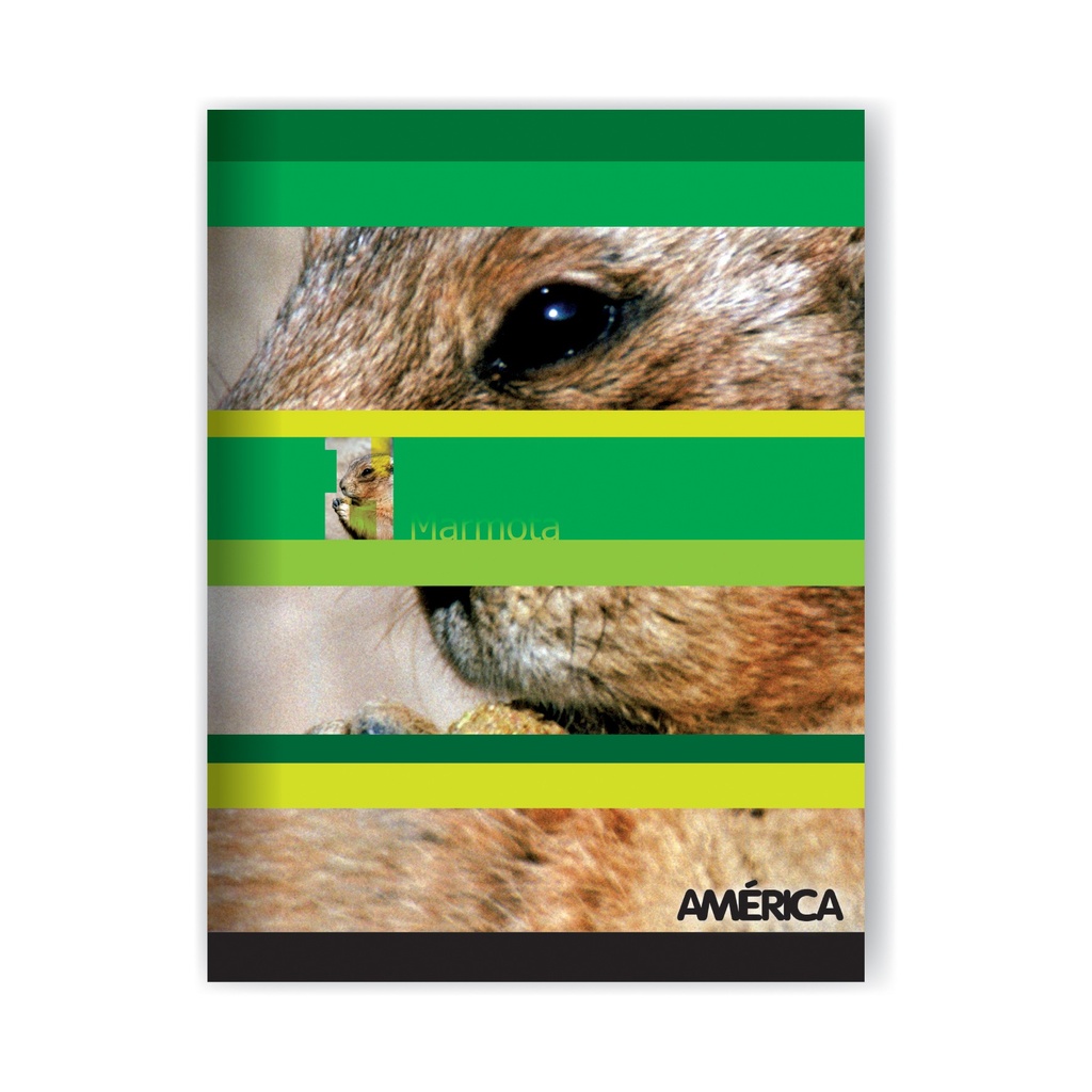 CUADERNO AMERICA T/F 16X21 24H LISO