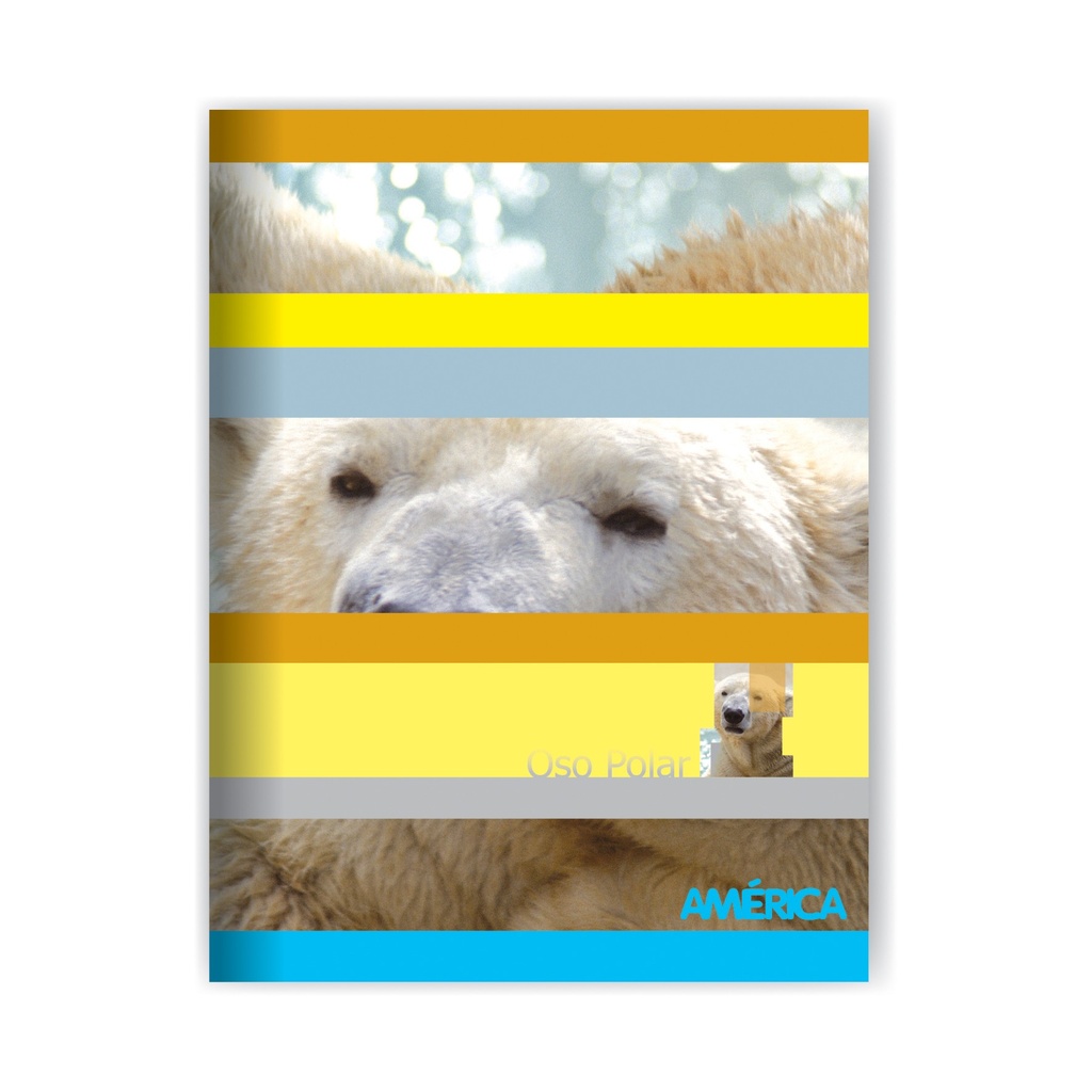 CUADERNO AMERICA T/F 16X21 24H LISO