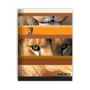 CUADERNO AMERICA T/F 16X21 48H CUADRICULADO