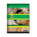 CUADERNO AMERICA T/F 16X21 48H CUADRICULADO