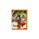 CUADERNO MOOVING 16X21 T/F 48H DRAGON BALL