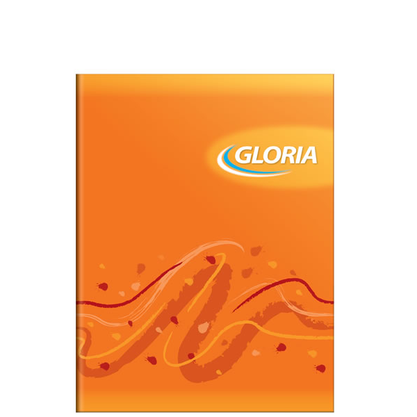 CUAD.GLORIA T/FLEX 16X21 24H RAYADO