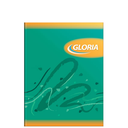 CUAD.GLORIA T/FLEX 16X21 48H RAYADO