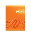 CUAD.GLORIA T/FLEX 16X21 48H RAYADO