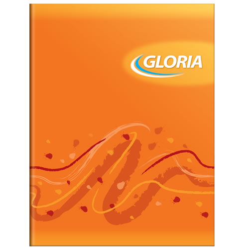 CUAD.GLORIA T/FLEX 16X21 84H RAYADO