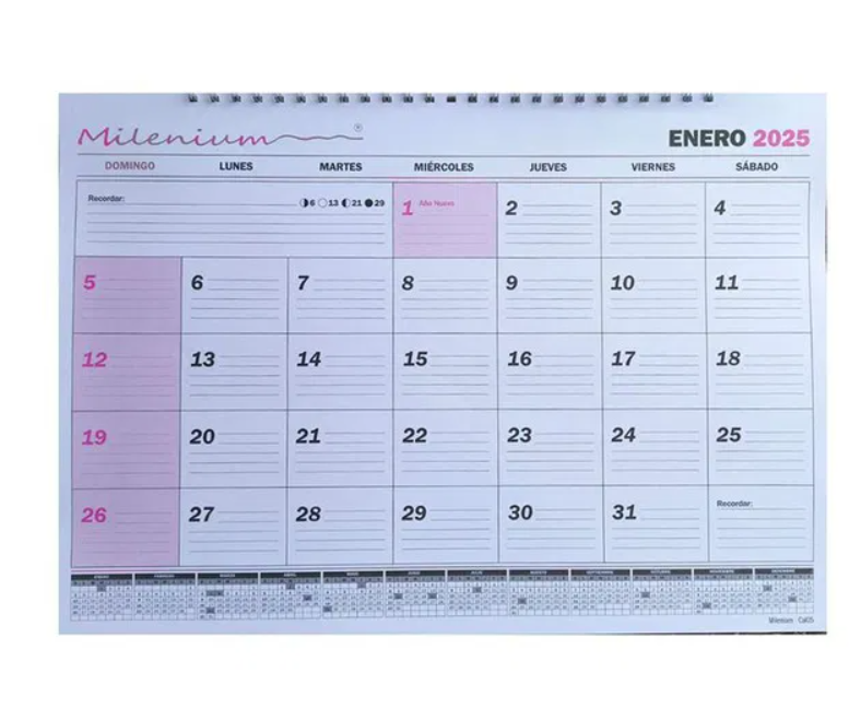 CALENDARIO PLANIFICADOR MENSUAL 32X45.5CM HORIZONTAL 2025