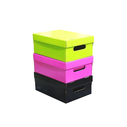 CAJA CHICA LISA X3 (NEGRO-VERDE-ROSA)