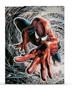 CARPETA 2 TAPAS Nº3 MOOVING SPIDERMAN