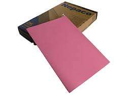 CARPETA COLGANTE NEPACO ROSA X25