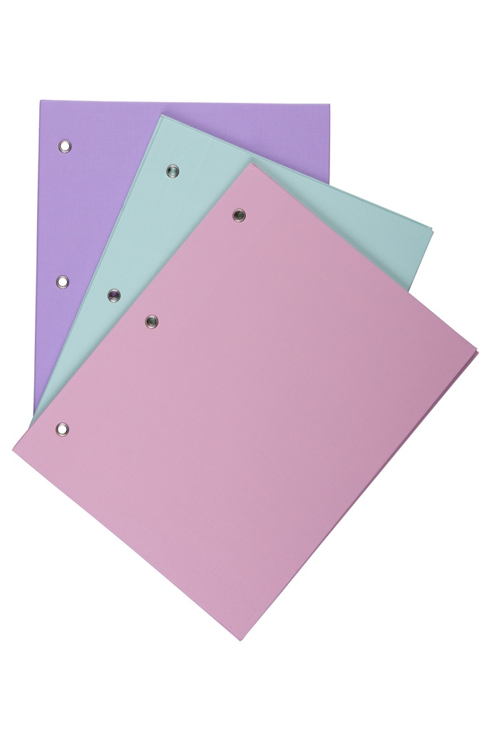 CARPETA 2 TAPAS Nº3 LAMA PVC PASTEL