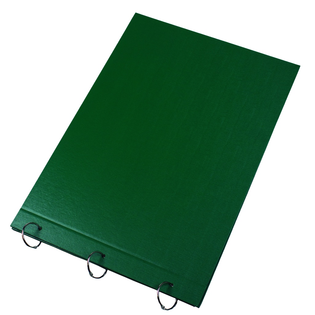 CARPETA 2 TAPAS Nº6 LAMA PVC VERDE