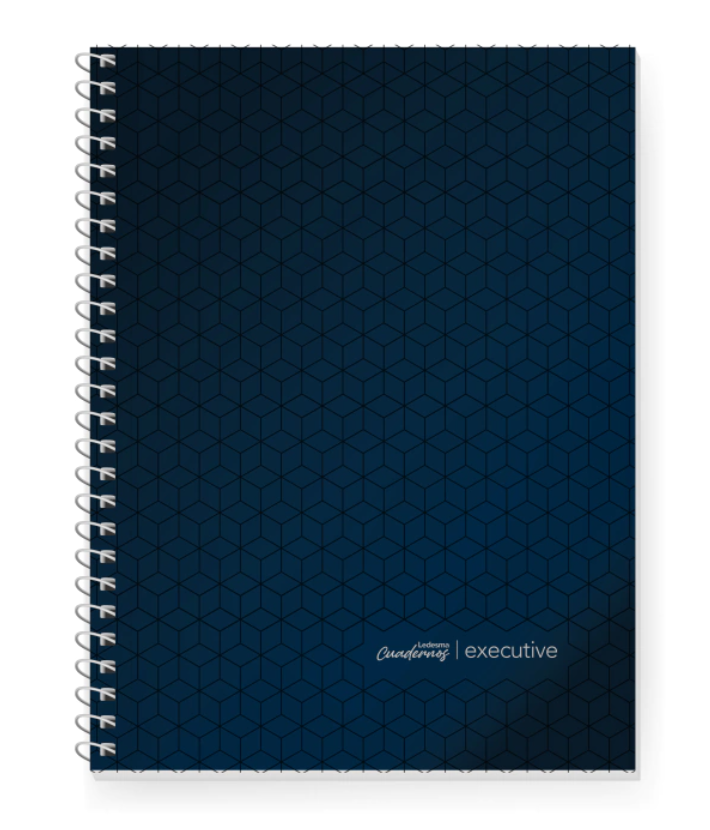 CUADERNO LEDESMA EXECUTIVE 22X29 84H AZUL RAYADO