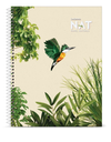 CUADERNO LEDESMA NAT T/B 22X29 70H RAYADOS