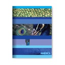 CUADERNO AMERICA T/F 16X21 48H LISO