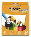 PINTURITAS BIC EVOLUTION X24