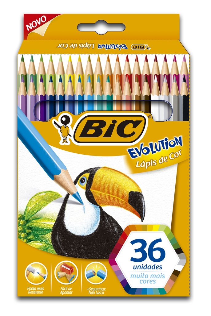 PINTURITAS BIC EVOLUTION X36