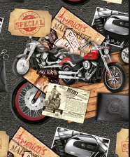 PAPEL MAG P/REGALO 70X100 X10 5016 MOTOS HARLEY