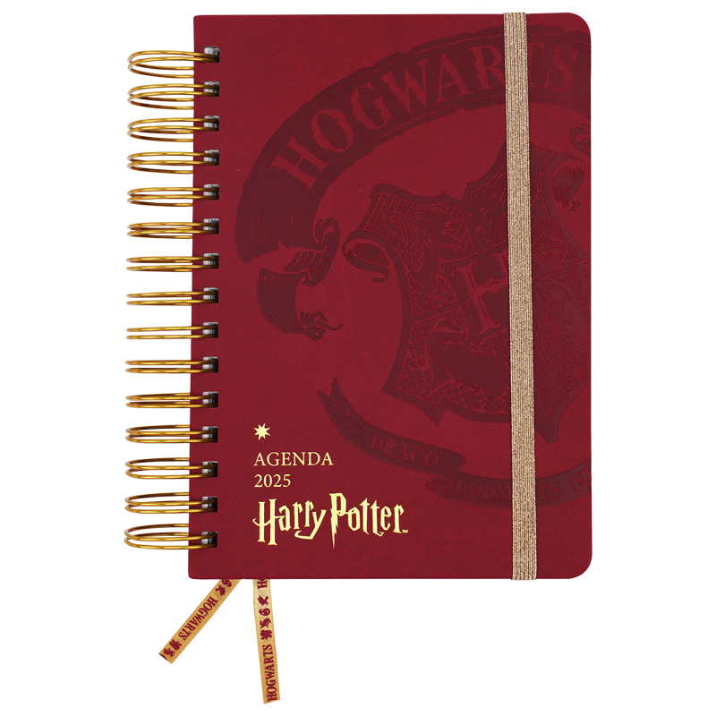 AGENDA MOOVING 14X20 DXP HARRY POTTER