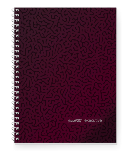 [100764] CUADERNO LEDESMA EXECUTIVE 22X29 BORDO RAYADO