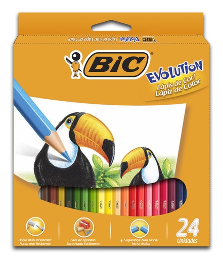 [902638] PINTURITAS BIC EVOLUTION X24